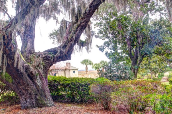 The view that I painted from. Photo by Robert Leedy.