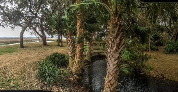 Musgrove Plantation. Beautiful views everywhere. Photo by Robert Leedy.