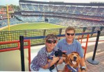 Bark in the&nbsp;Park